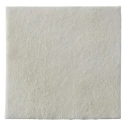 Biatain Alginate - 10 alginate dressings 10x10 cm