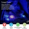 Aqua Tranquil - Night Light Turtle Blau