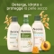 Daily moisturising - yogurt body wash at apricot & Honey scent 300 ml