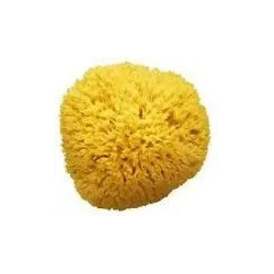 natural sponge for baby bath size1