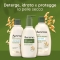 Body Moisturizer 300 ml