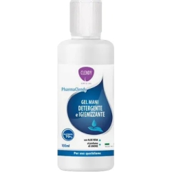 Gel Sanitizer hands 100 ml