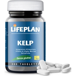 Kelp - Wild Seaweed supplement 300 tablets