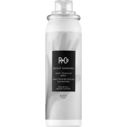 Bright Shadows Root Touch-Up Spray - Black