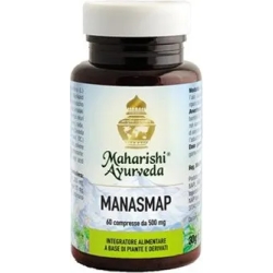 Manasmap - Energy Supplement 60 tablets of 500 mg