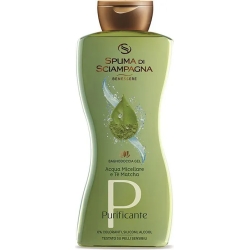 Purifying - showergel with Micellar Water & Matcha tea 500Ml