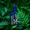 Udv Wild - Eau de Toilette for Men 100 ml Spray