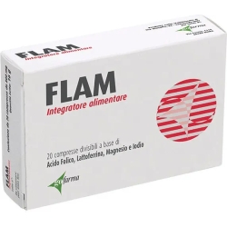 Flam - Pregnancy  Supplement 20 divisible tablets