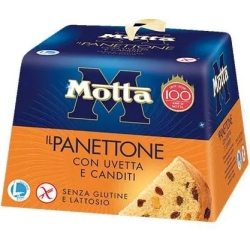 Panettone gluten-free and lactose-free 400 g