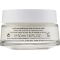 Attivi Puri - Vitamin C + Ferulic Acid Cream 50 ml