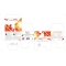 Immunorm Forte - Immune Support Supplement 30 sachets Orange taste