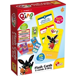 Flash Cards - Bing's world