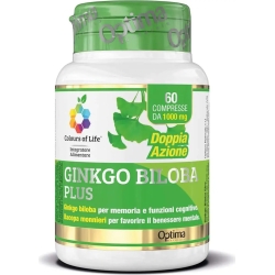 Ginkgo Biloba plus - memory supplement 60 tablets