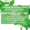 Ginkgo Biloba plus - memory supplement 60 tablets