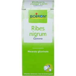 Ribes Nigrum gemme - Natural Pain Relief Supplement 60 ml