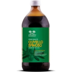 Salugea Succo di Olivello Spinoso - Tonics Supplement 500 ml