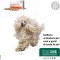 Glupacur - Dogs and cats complementary food 30 tablets