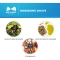 Ribes Pet Sollievo - Complementary feed for dermatitis 60 Perle