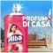 Pomegranate Flowers 1 l