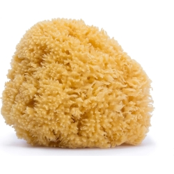 Large Natural Sponge for children 0m+