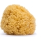 Large Natural Sponge for children 0m+
