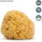 Large Natural Sponge for children 0m+