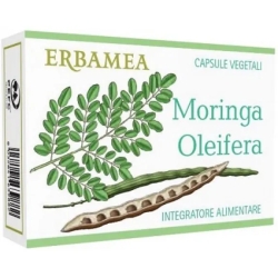 Moringa Oleifera - antioxidant supplement 24 Capsules
