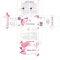 Resmed3 - wellness supplement 30 Sachets