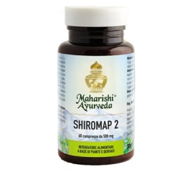 Shiromap 2 - Fat burning supplement 60 tablets
