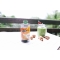 MCT Oil 77% - food for special medical purposes 500 ml