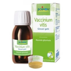 Vaccinium Vitis 60 ml -  Macerated Glycerinat