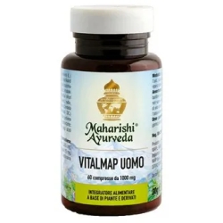 Vitalmap Male - Fertility Supplement 60 tablets