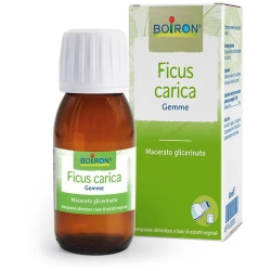 Ficus Carica gemme - Intestinal health supplement 60 ml