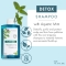 Anti pollution - Detox shampoo with aquatic mint 400 ml