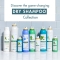 detox dry shampoo with organic aquatic mint 150 ml