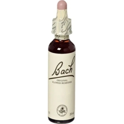 Bach Holly Flowers 20 ml