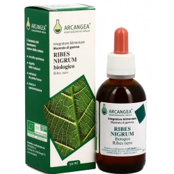Ribes Nigrum GD - Seasonal Illness supplement 100 ml