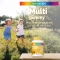 DailyVit+ Multigummy - Vitamin supplement 60 gummy candies