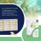 Omegor Veg - Brain Health Supplement 60 capsules