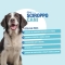 Aloeplus Syrup for dogs 250 ml