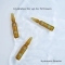 Hyaluronic Booster - Face moisturizing serum 10 vials