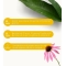 Echinacea - Immune boost supplement 30 ml drops