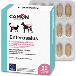 Enterosalus 30 tablets - intestinal supplement