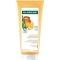 nourishing conditioner with mango for dry hair