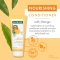 nourishing conditioner with mango for dry hair