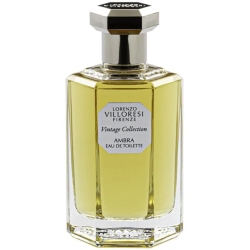 Vintage Collection Ambra - eau de toilette unisex 100 ml Spray