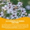 Manuka benefit - essential oil 5 ml