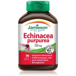 Echinacea Purpurea - Immune Support Supplement 90 pills