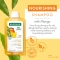 Mango shampoo for dry hair 400 ml