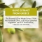Organic olive tree shampoo for weak hair 200 ml